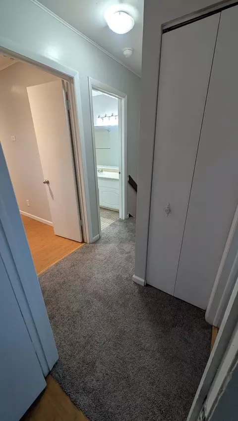 Entry Way - 117 Galewood Dr, Bolingbrook, IL 60440 photo 3 of 4