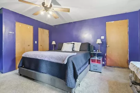 Bedroom - 28616 W Benjamin Ave, Spring Grove, IL 60081 photo 2 of 4