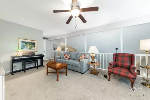 Living - 21017 W Hazelnut Ln, Plainfield, IL 60544 photo 6 of 6