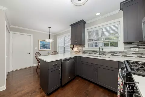 Kitchen - 21017 W Hazelnut Ln, Plainfield, IL 60544 photo 1 of 6