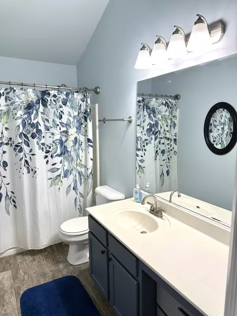 Bath - 1431 Westhampton Dr, Plainfield, IL 60586 photo 3 of 4