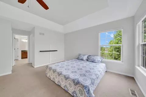 Bedroom - 26809 Ashgate Xing, Plainfield, IL 60585 photo 3 of 10