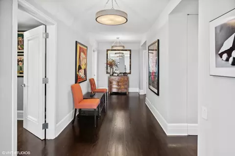 Entry Way - 161 E Chicago Ave #49A, Chicago, IL 60611 photo 3 of 3