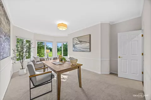 Other - 1096 Reddington Dr, Aurora, IL 60502 photo 4 of 14