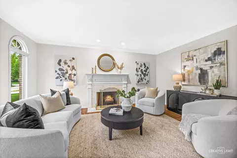 Living - 1096 Reddington Dr, Aurora, IL 60502 photo 1 of 7