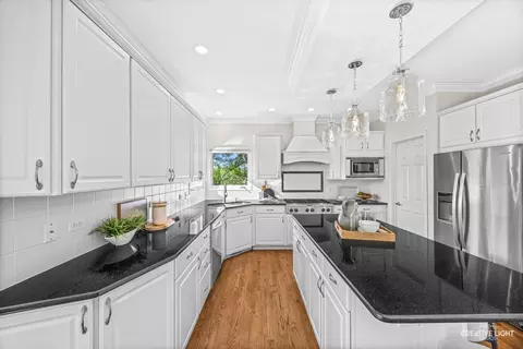 Kitchen - 1096 Reddington Dr, Aurora, IL 60502 photo 4 of 6