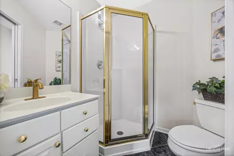 Bath - 1096 Reddington Dr, Aurora, IL 60502 photo 4 of 6
