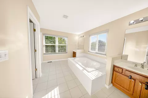Bath - 1249 Mallard Ln, Hoffman Estates, IL 60192 photo 1 of 3