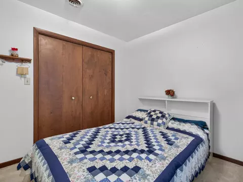 607 S Jackson St, Gardner, IL 60424 photo 18