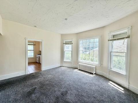 1105 Morton Ave, Elgin, IL 60120 photo 13