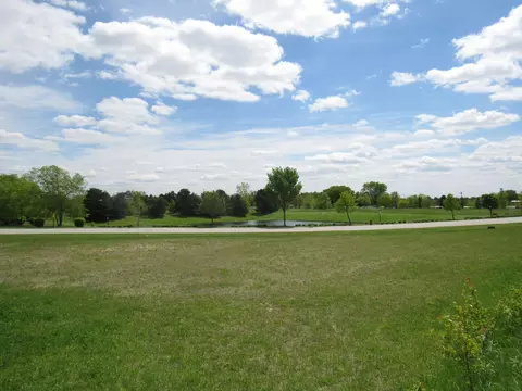 22276 Elise Blvd, Frankfort, IL 60423