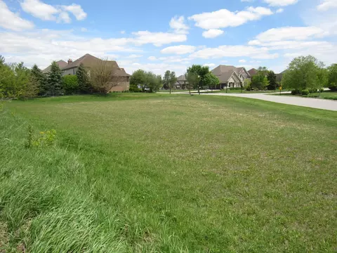 22276 Elise Blvd, Frankfort, IL 60423