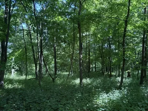 15 Navajo Ct, Putnam, IL 61560