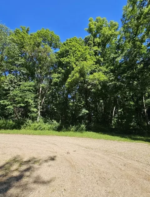 17 Navajo Ct, Putnam, IL 61560 photo 3