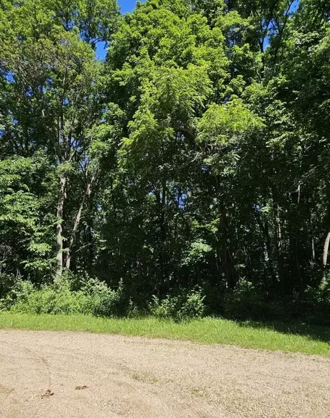 17 Navajo Ct, Putnam, IL 61560