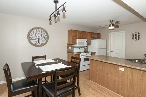 1272 Silk Oak Ln, Bartlett, IL 60103 photo 11