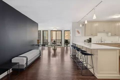 Other - 200 E Delaware Pl #24F, Chicago, IL 60601 photo 4 of 10