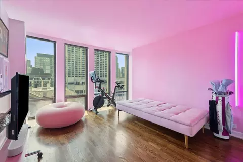 Other - 200 E Delaware Pl #24F, Chicago, IL 60601 photo 7 of 10