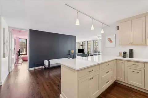 Kitchen - 200 E Delaware Pl #24F, Chicago, IL 60601 photo 3 of 3