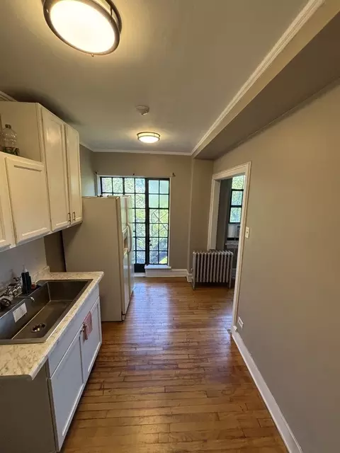 3017 E 78th St #4B, Chicago, IL 60649 photo 5