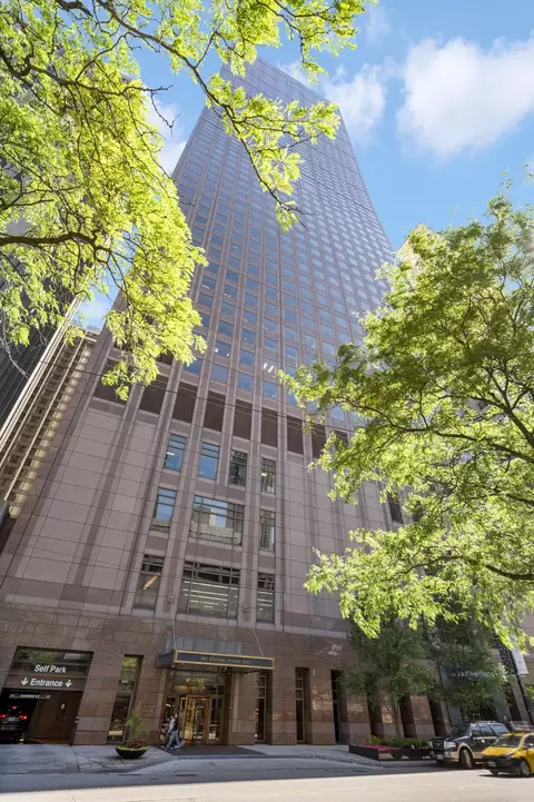 161 E Chicago Ave #50B, Chicago, IL 60611