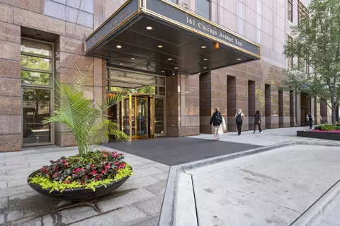 161 E Chicago Ave #50B, Chicago, IL 60611 photo 12