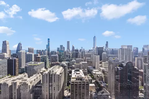 161 E Chicago Ave #50B, Chicago, IL 60611 photo 8