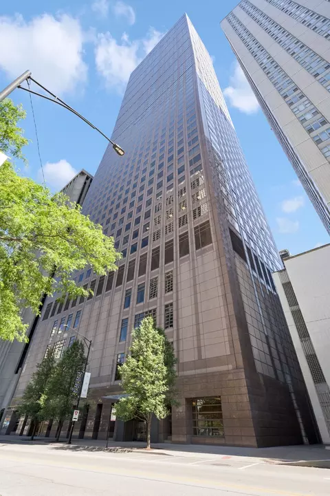 161 E Chicago Ave #50B, Chicago, IL 60611 photo 13