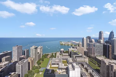 161 E Chicago Ave #50B, Chicago, IL 60611 photo 9