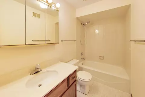 Bath - 245 Windsor Ln #C, Willowbrook, IL 60527 photo 3 of 3