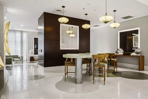 123 S Green St #704B, Chicago, IL 60607 photo 24