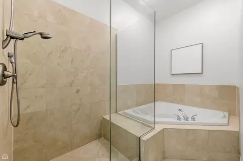 Bath - 4705 S Champlain Ave #403, Chicago, IL 60615 photo 2 of 4