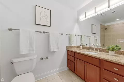 Bath - 4705 S Champlain Ave #403, Chicago, IL 60615 photo 3 of 4