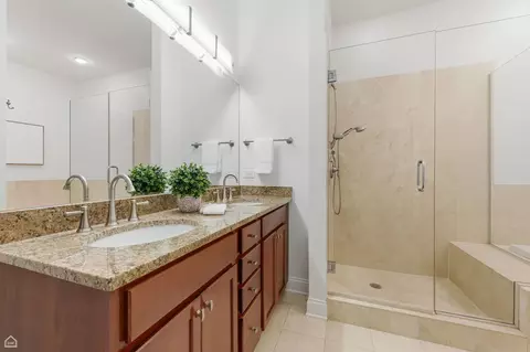 Bath - 4705 S Champlain Ave #403, Chicago, IL 60615 photo 1 of 4