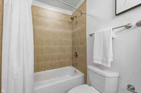 Bath - 4705 S Champlain Ave #403, Chicago, IL 60615 photo 4 of 4