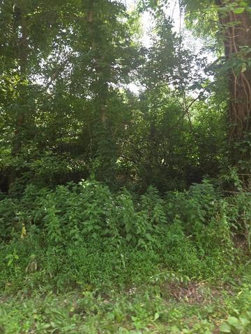 206 Old Villa Ridge Rd, Mounds, IL 62964