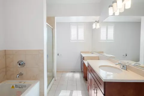 Bath - 338 E 25th Pl, Chicago, IL 60616 photo 3 of 4