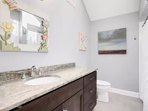 Bath - 148 Hawkins Cir, Wheaton, IL 60189 photo 3 of 7