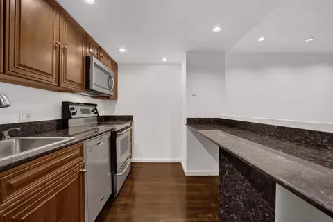 40 E 9th St #1416, Chicago, IL 60605 photo 26