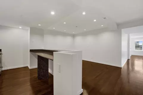 40 E 9th St #1416, Chicago, IL 60605 photo 27