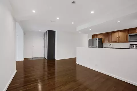 40 E 9th St #1416, Chicago, IL 60605 photo 23
