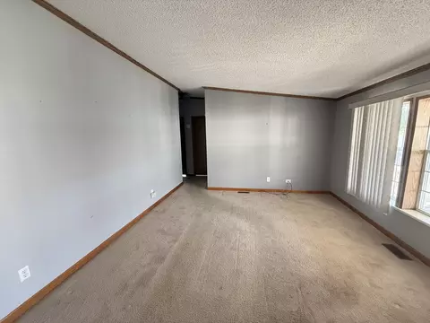 25751 Olympic Dr, Monee, IL 60449 photo 15