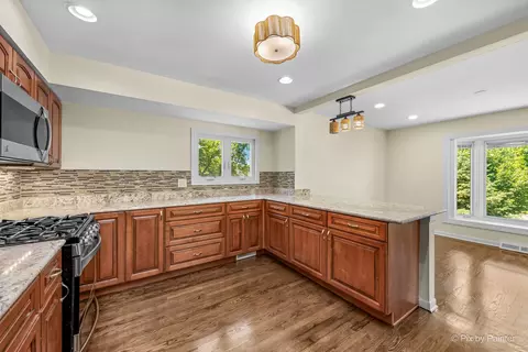 4145 Winston Dr, Hoffman Estates, IL 60192 photo 12