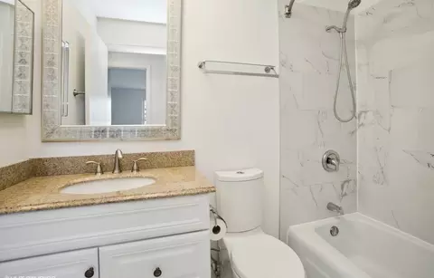 Bath - 5300 Carriageway Dr #203, Rolling Meadows, IL 60008 photo 2 of 2