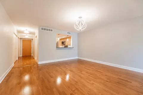 Living - 415 Franklin Ave #2C, River Forest, IL 60305 photo 2 of 2