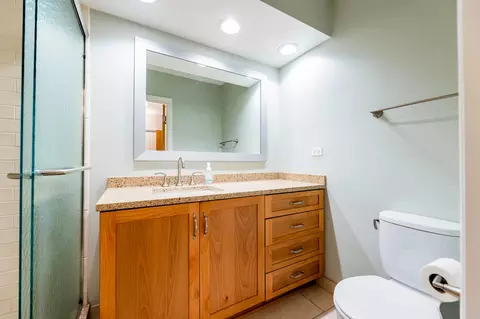 Bath - 415 Franklin Ave #2C, River Forest, IL 60305 photo 2 of 2