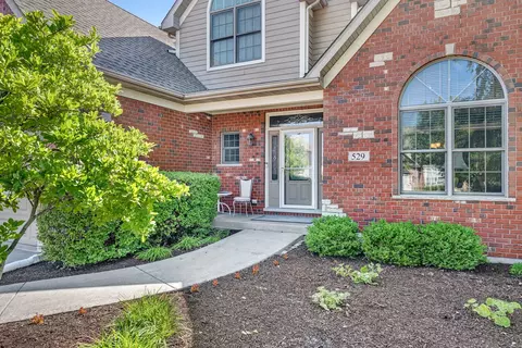Exterior - 529 E Hunter Ln, Minooka, IL 60447 photo 3 of 8