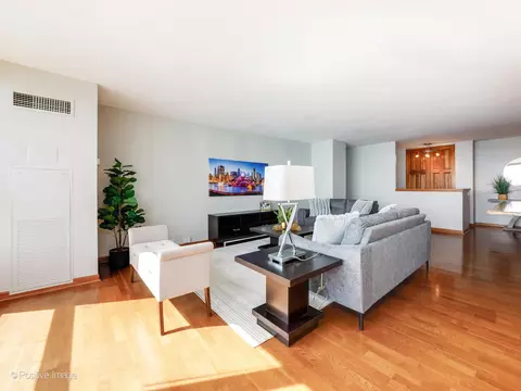 Living - 360 E Randolph St #3902, Chicago, IL 60601 photo 5 of 5