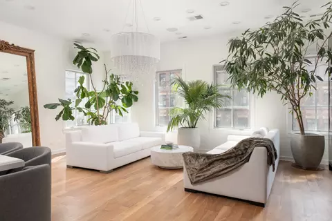 Living - 22 Elm St, Chicago, IL 60611 photo 6 of 7