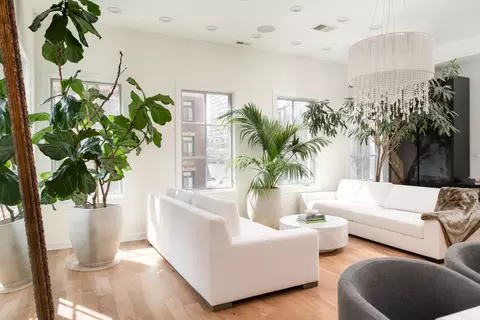 Living - 22 Elm St, Chicago, IL 60611 photo 7 of 7